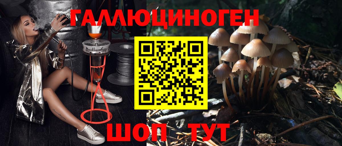Галлюциногенные грибы прущие грибы  Псилоцибиновые грибы Cubensis  Вход с VPN  Калуга 