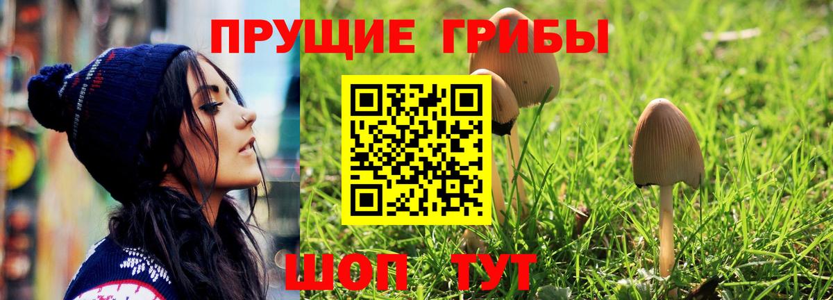 Галлюциногенные грибы MAGIC MUSHROOMS Калуга